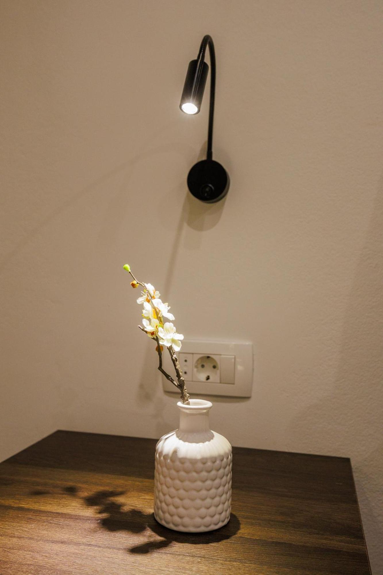 Apartment Nikoleto 扎达尔 外观 照片